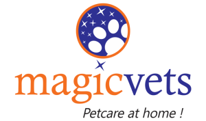 Magicvets