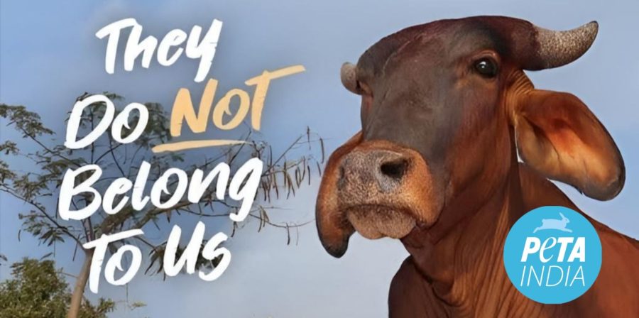 Peta India